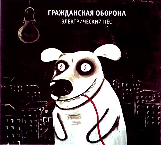 veer кроссовки женские